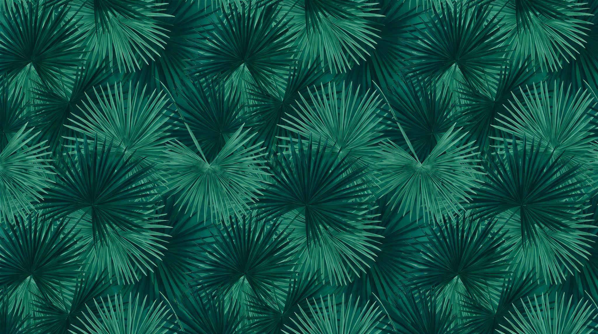 Teal Palm Leaves Wallpaper Mural Main