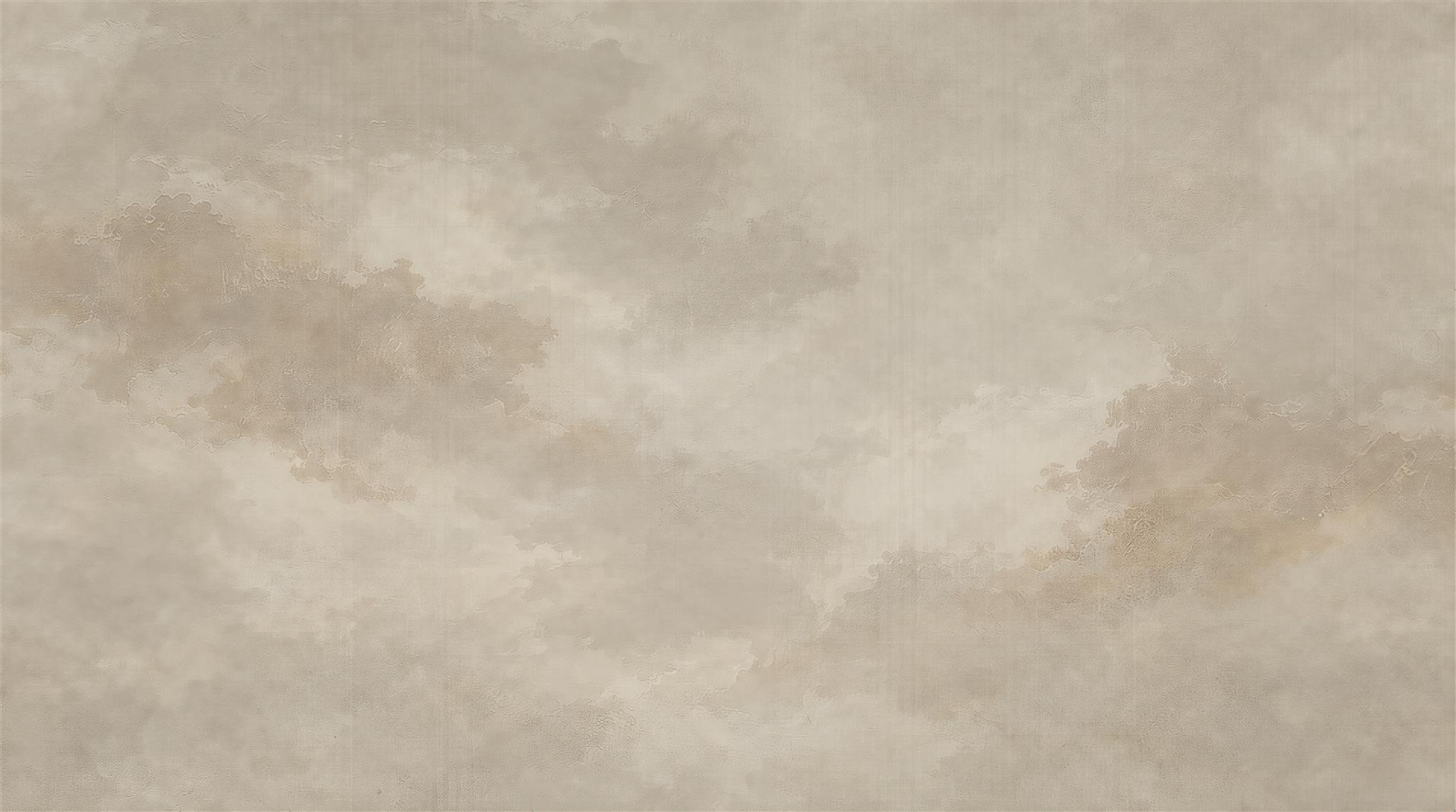 Taupe Soft Cloudscape Wallpaper Mural Main