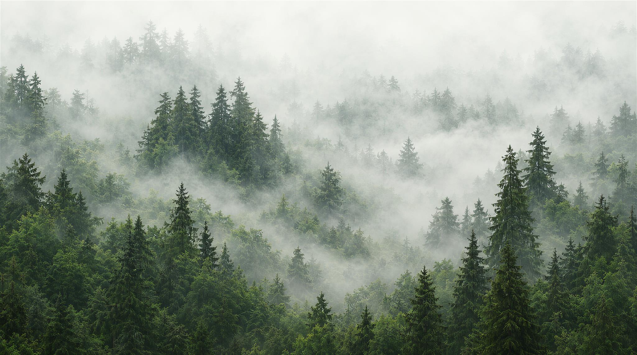 Green Woodland Trees Wallpaper Mural Main